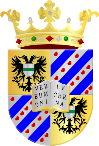 University of Groningen logo